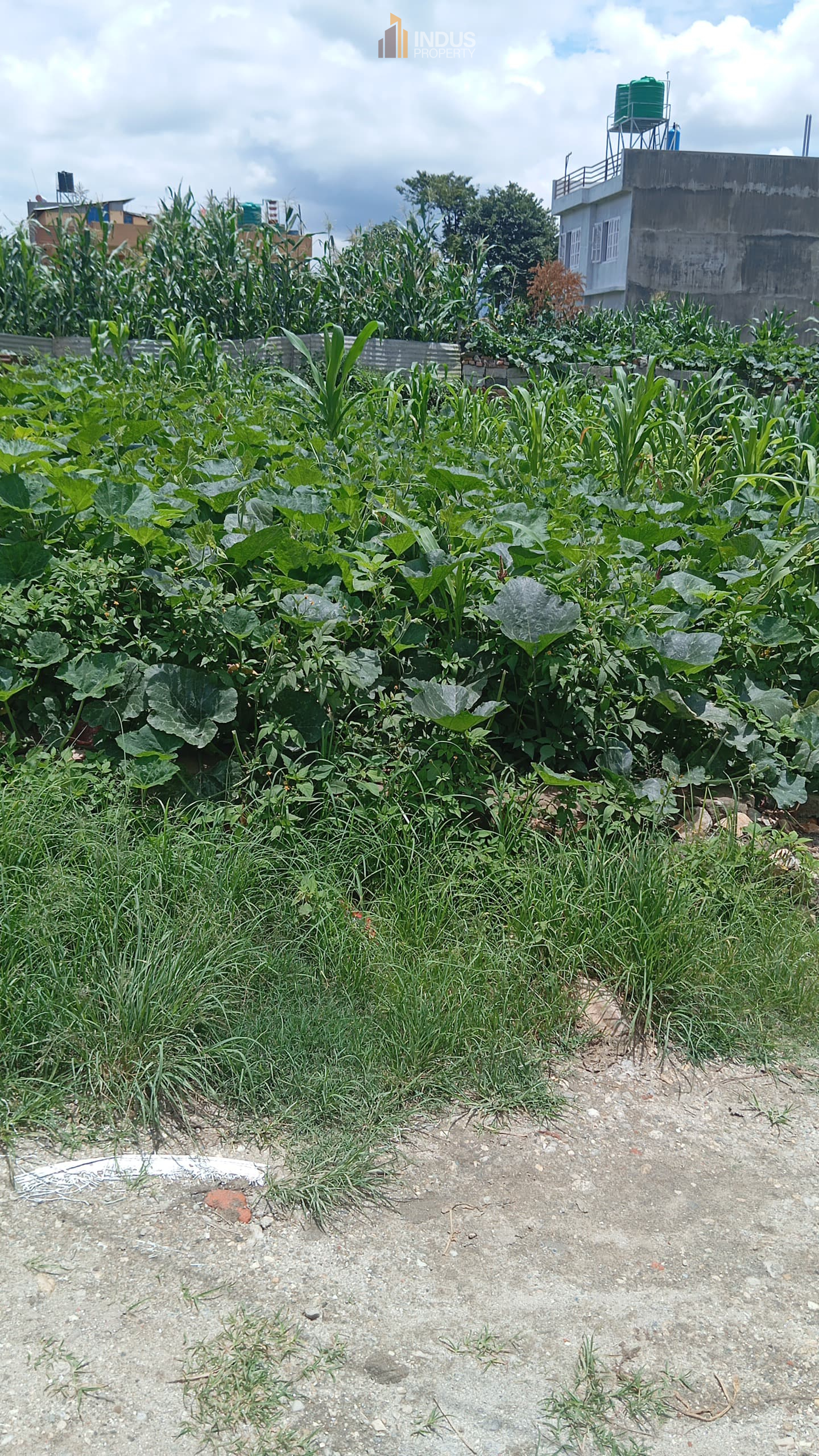 Picture of Kageshwari Manohara Municipality, Bagmati